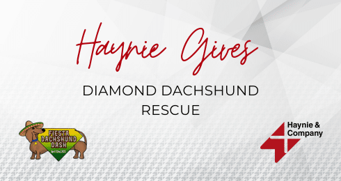 Haynie Gives supporting Diamond Dachshund Rescue with logos of Haynie and Fiesta Dachshund Dash.