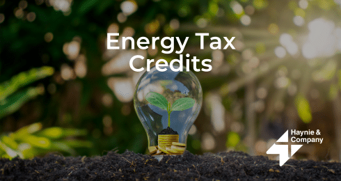 Light bulb with a green seedling and coins inside, text Energy Tax Credits, Haynie logo.