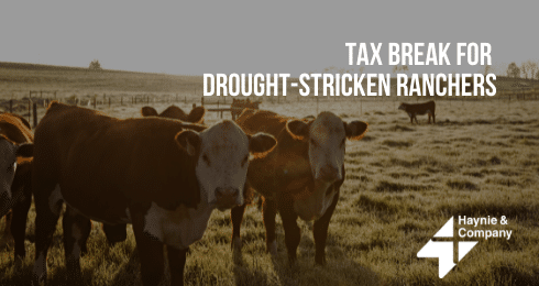 Cows grazing in a pasture at sunset with Tax Break for Drought-Stricken Ranchers text overlay.