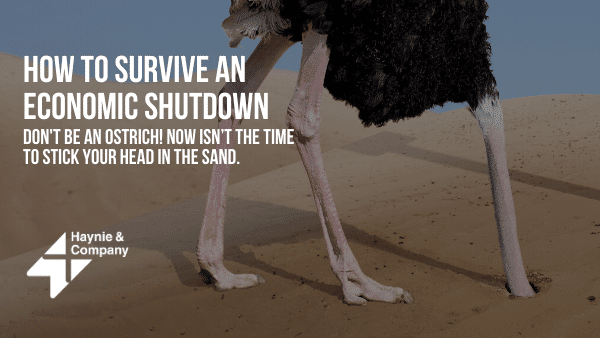Ostrich with a message on surviving economic shutdown, emphasizing staying proactive, by Haynie.